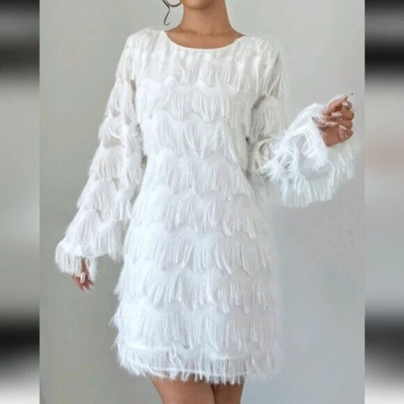 Elegant Feather Embellished Long Sleeve Mini Dress For Fall Commuter - Picture 1 of 5